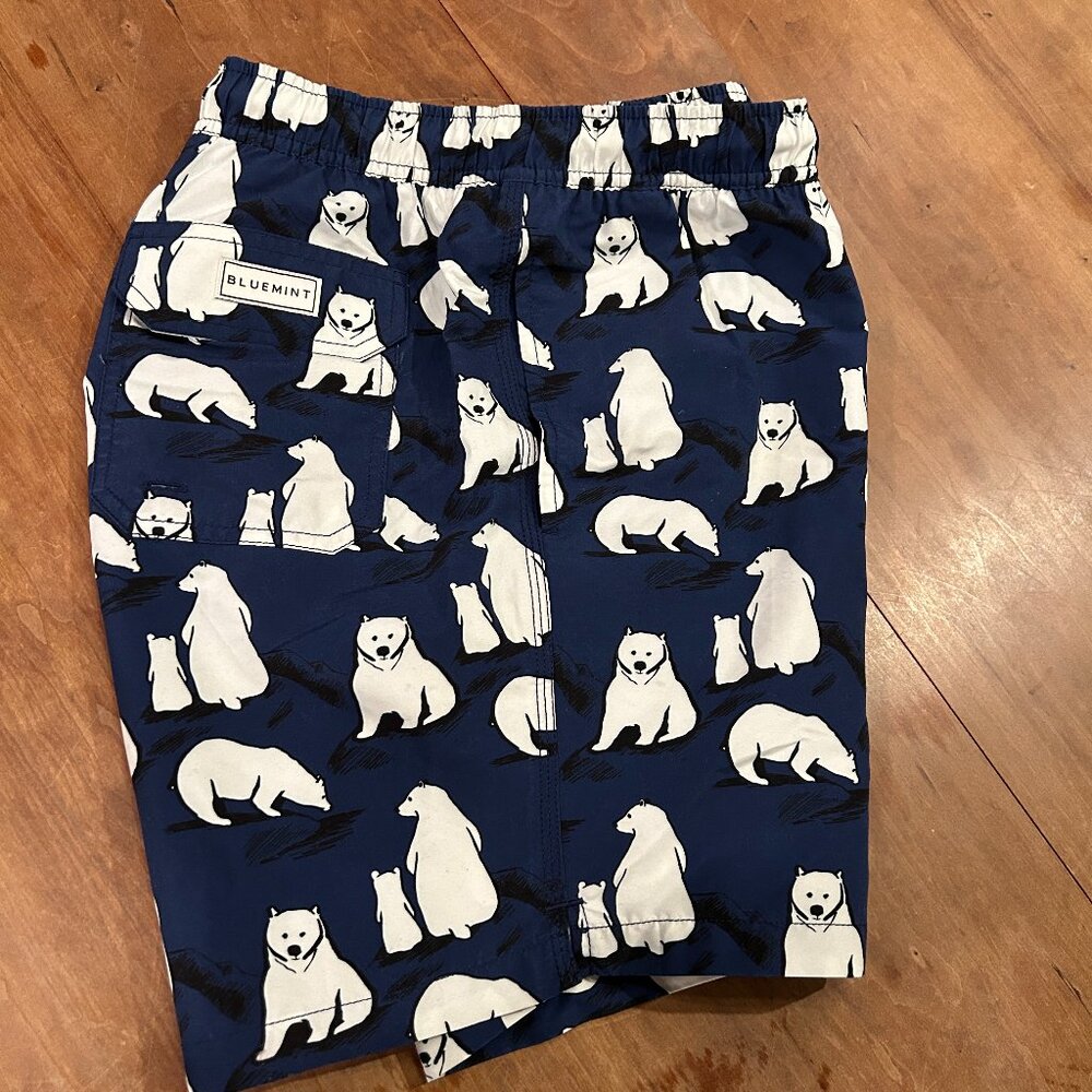 Blue Mint Swim Suit, Men's Large, Polar Bears, 6" inseam